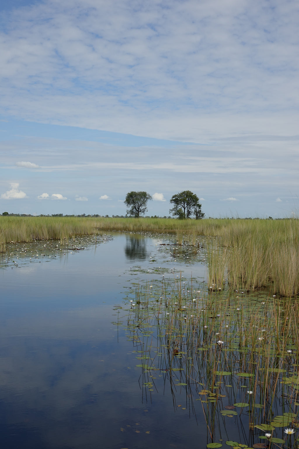 Canal du Delta – Botswana