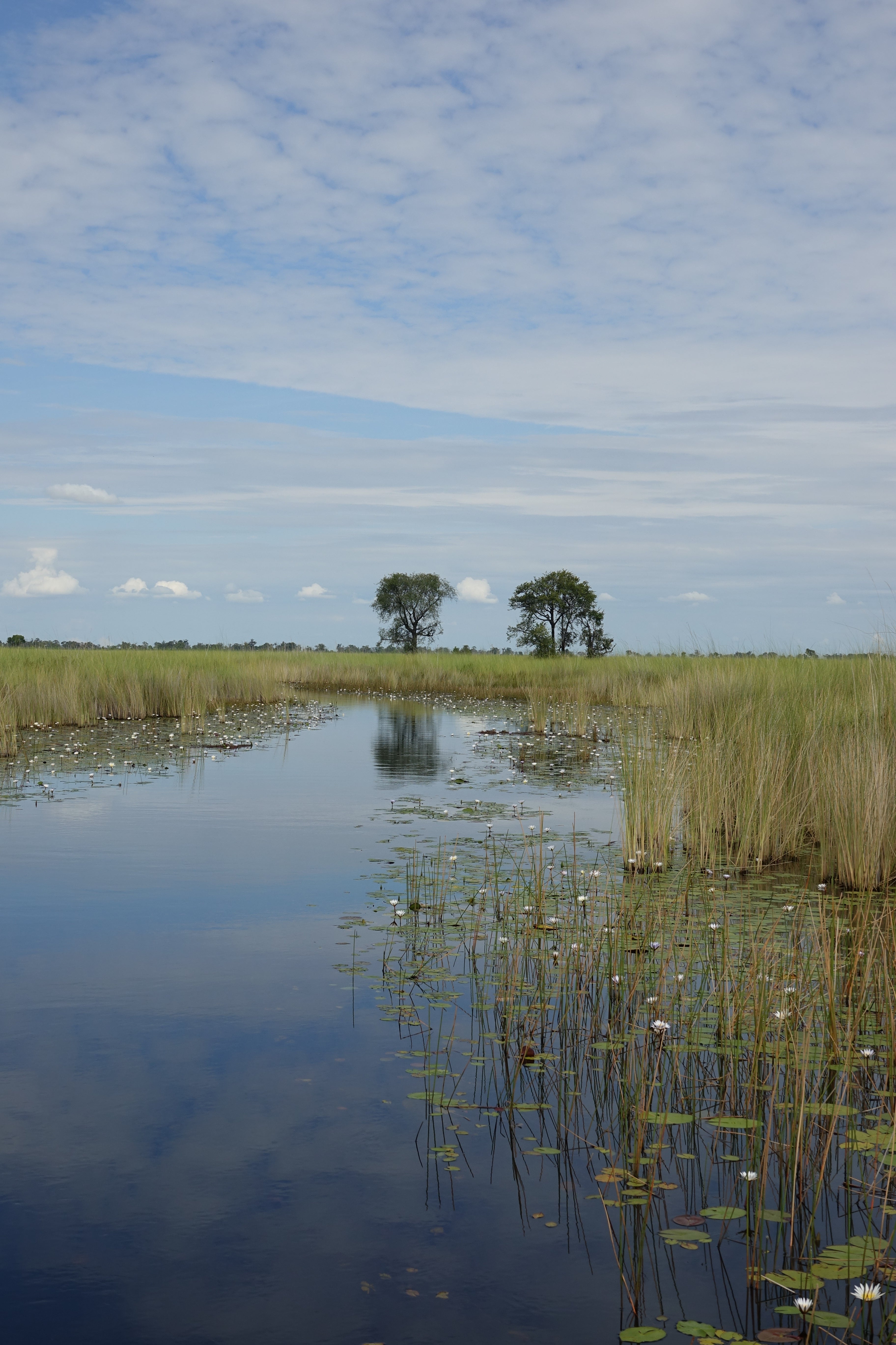 Canal du Delta – Botswana