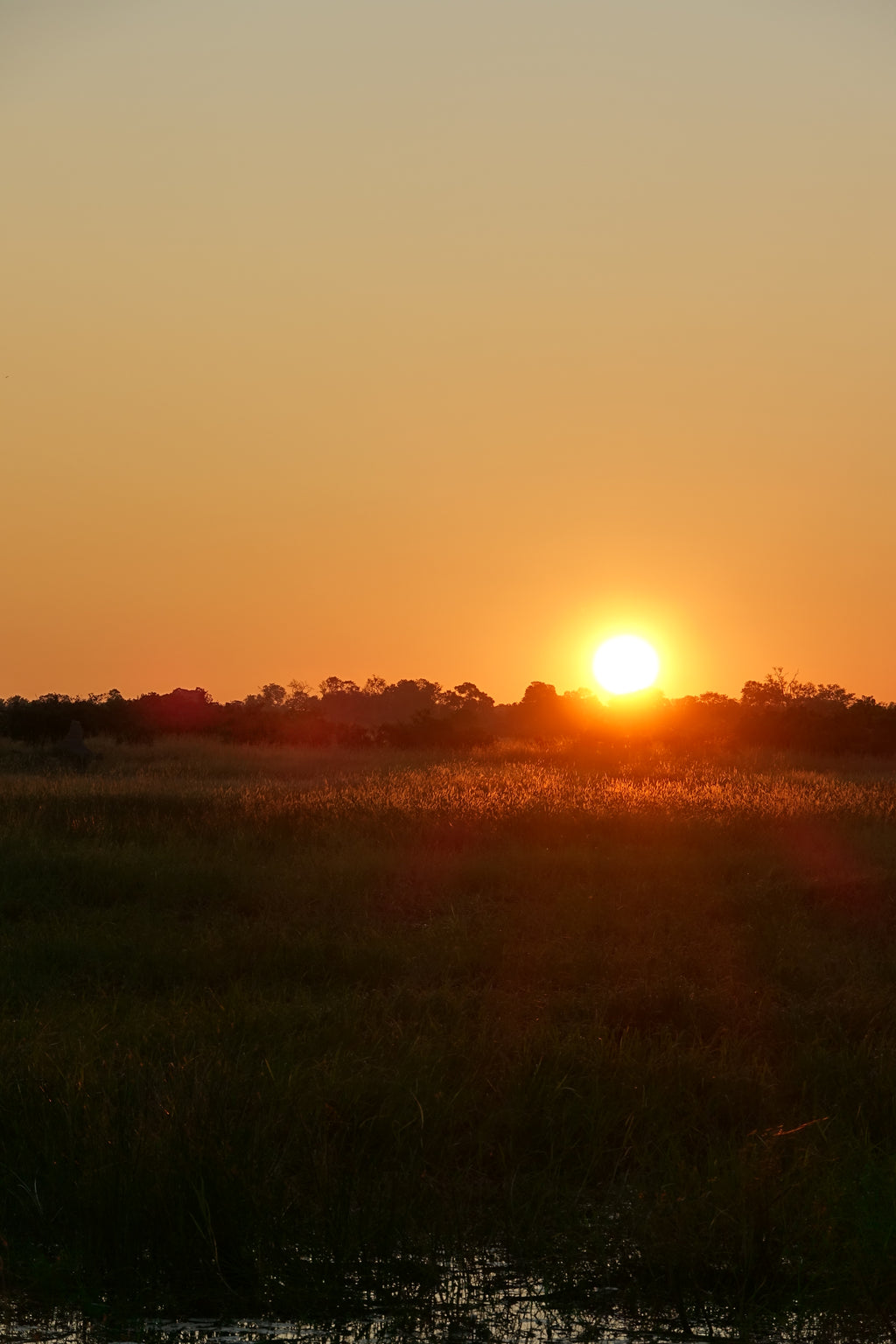 Couché de soleil - Botswana