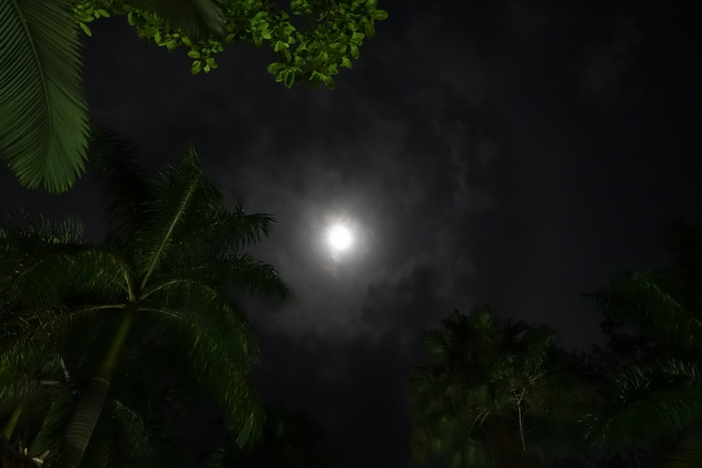 La Voûte Céleste – Costa Rica