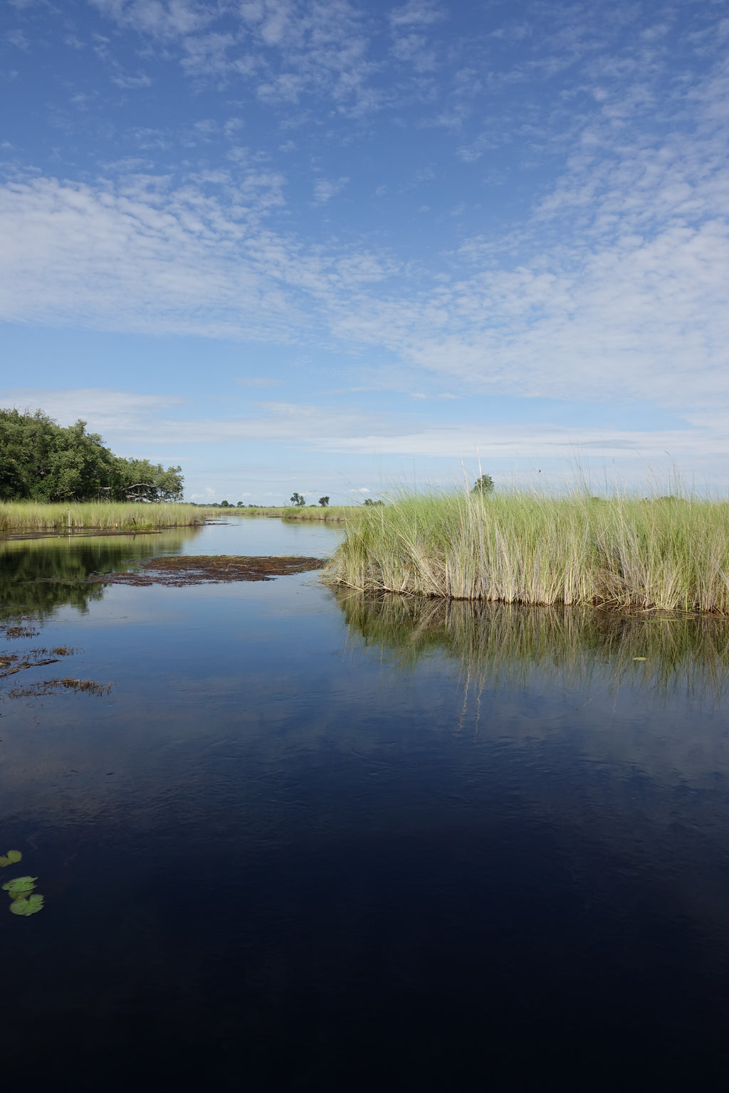 Le Départ du Delta – Botswana