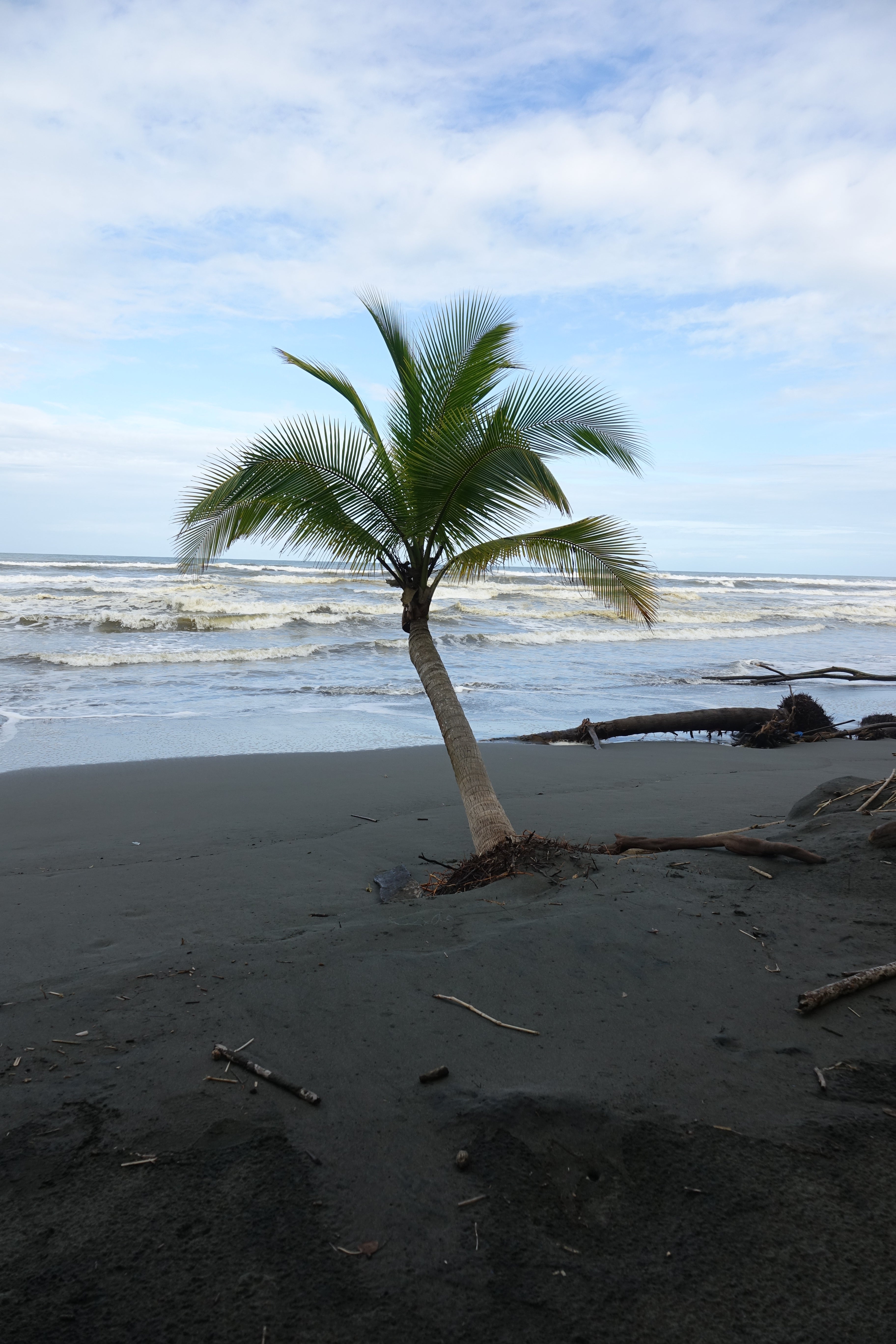 Le Gardien du rivage – Costa Rica