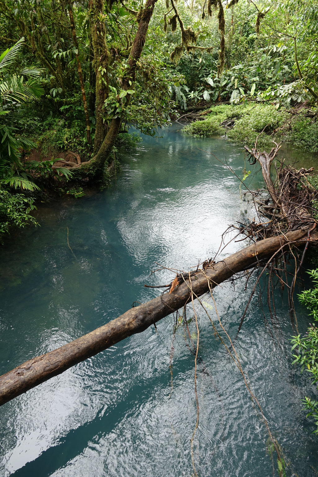 Le Cœur du Rio Céleste – Costa Rica