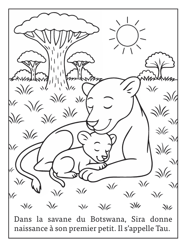 Les Aventures de Tau - Tome 1