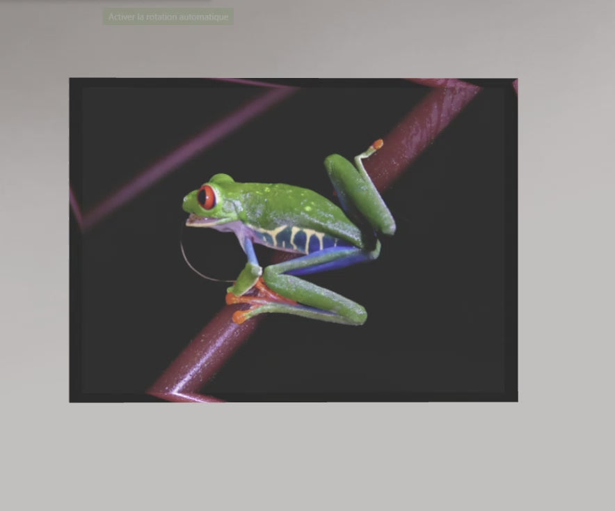 L’Éclat de la Nuit – Costa Rica