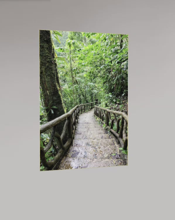 L’Escalier des Merveilles – Costa Rica