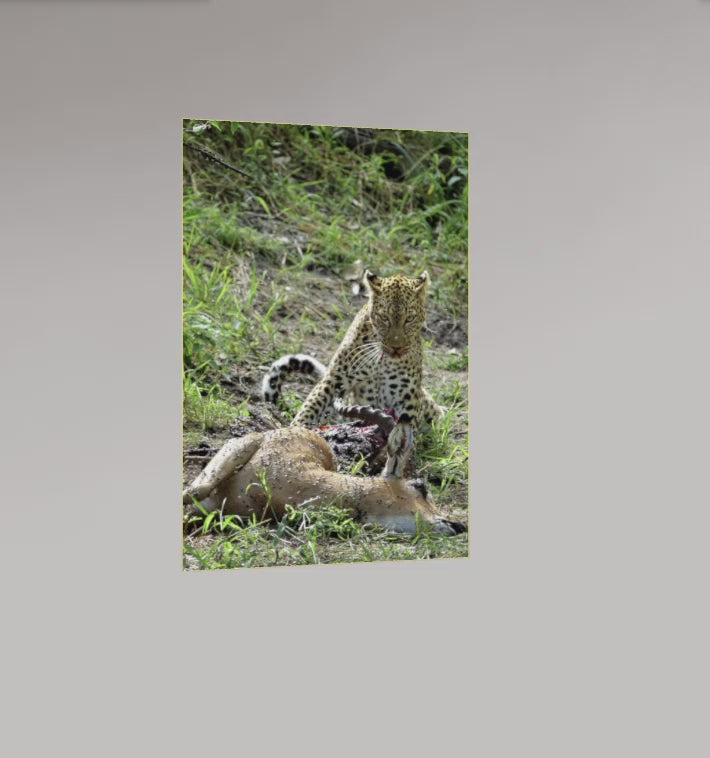 La Loi du Bush – Botswana