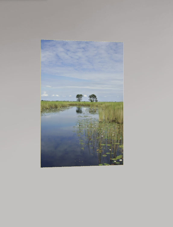 Canal du Delta – Botswana