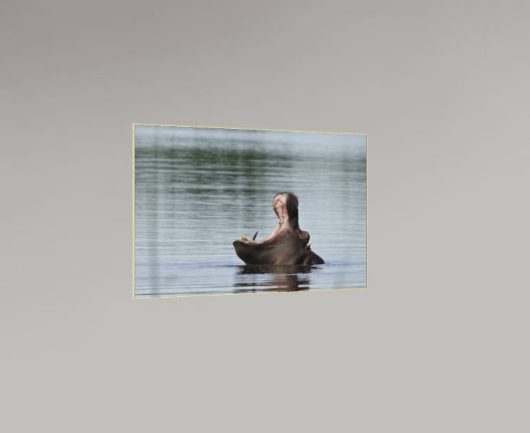 La Gueule de l’Hippopo – Botswana